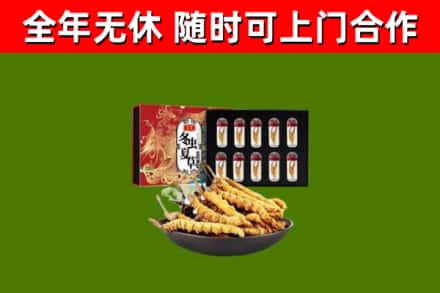 长汀回收冬虫夏草价格